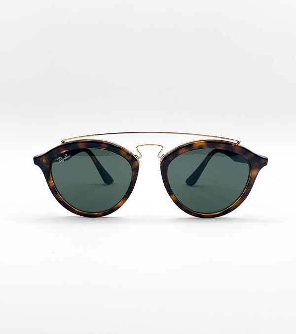 Occhiali da sole Ray Ban New Gatzby II RB4257 - vista frontale