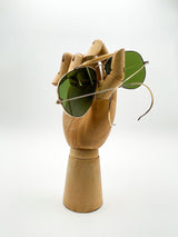 Ray Ban Occhiali da sole vintage Ray Ban Aviator Bausch&Lomb - dettaglio